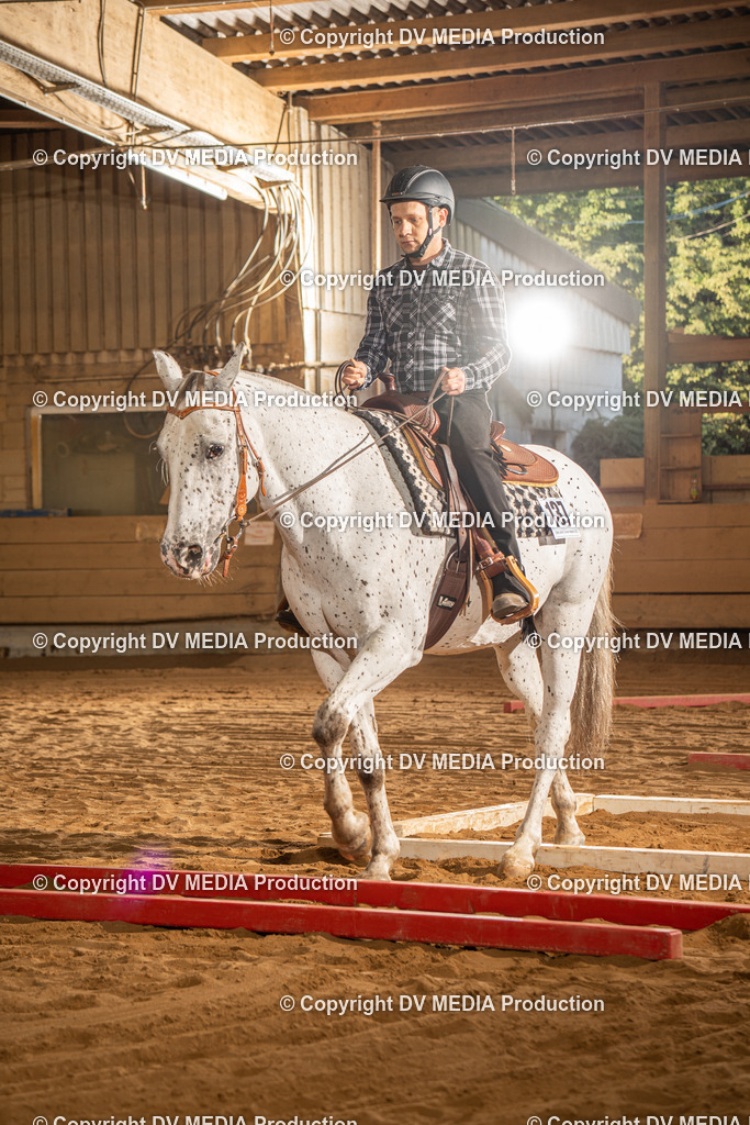 NID02482 | dv-media-shop - Realisiert mit Pictrs.com