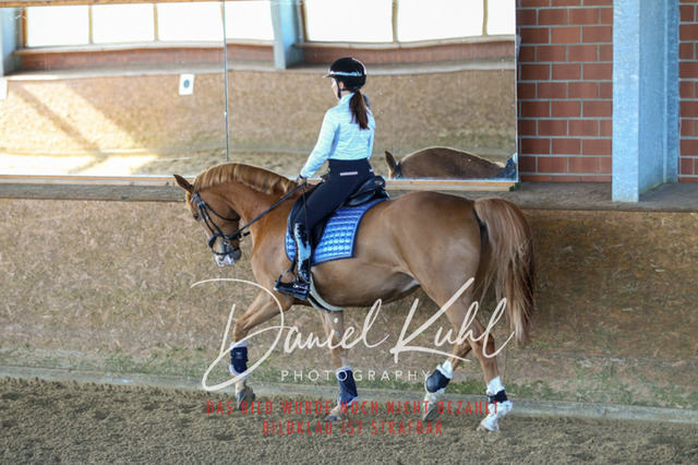 DKP42188 | Turniersportfotografie; Pferdefotografie; Dressurfotografie