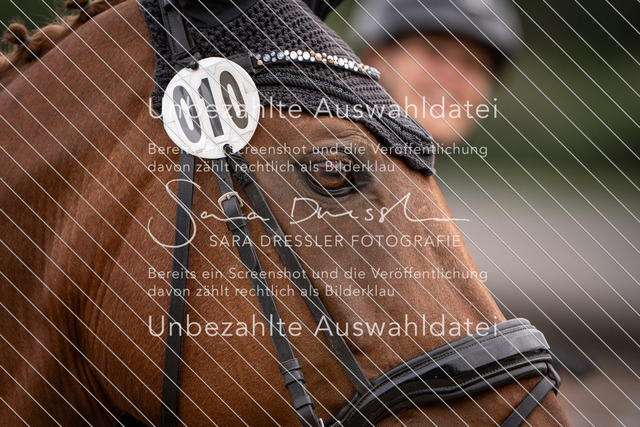 SD_OES26_09693 | saradresslerfotografie - Realisiert mit Pictrs.com