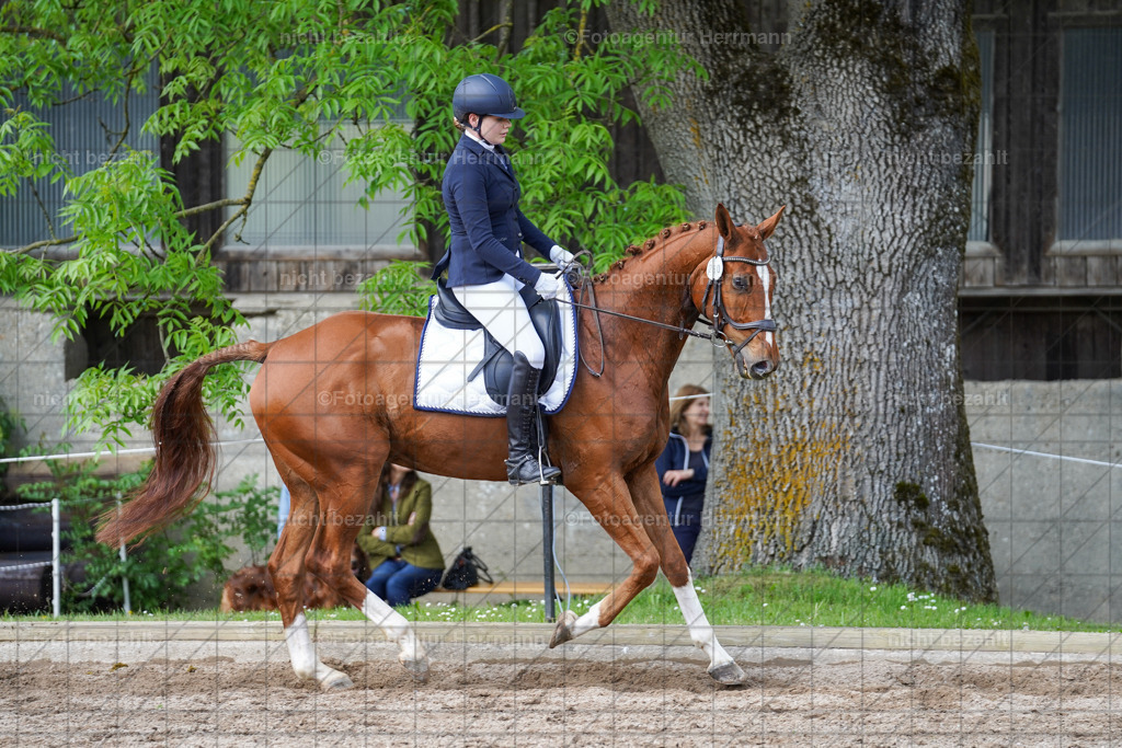 20240519-FAH05161 | Turnierbilder Niederseeon 2024, Vielseitigkeitsdressur, Reitsportbilder aus dem Landkreit Ebersberg, Gut Steinsee, RC Steinsee, Fotoagentur Herrmann