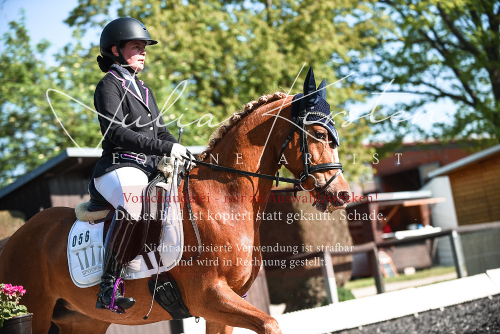 DSC_8450 | Pferde- und Turnierfotografie in Westsachsen. Pferdeportraits, Auftragszeichnungen und intuitive Kunst.