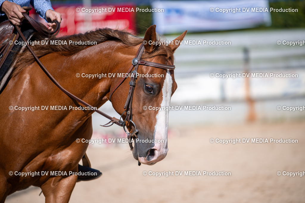 ZS1_0867 | dv-media-shop - Realisiert mit Pictrs.com