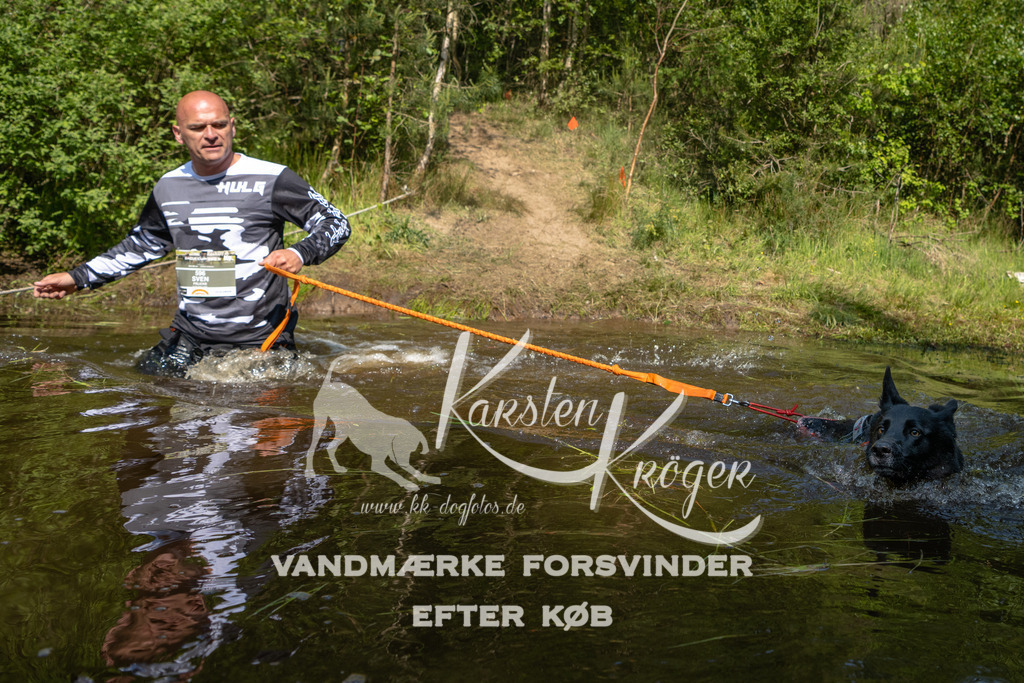 1012DKK990068 | kk-dogfotos