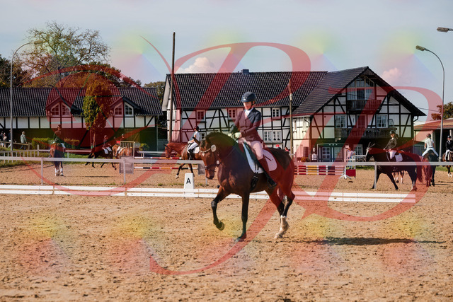 2026_10_03_Siefer-Hof_125538_Z63_62318431 | Professionelle Reitsport-, Turnier- und Eventfotografie von Robert Broda. Galerien mit ausgewählten und bearbeiteten Bildern direkt online ansehen und bestellen.