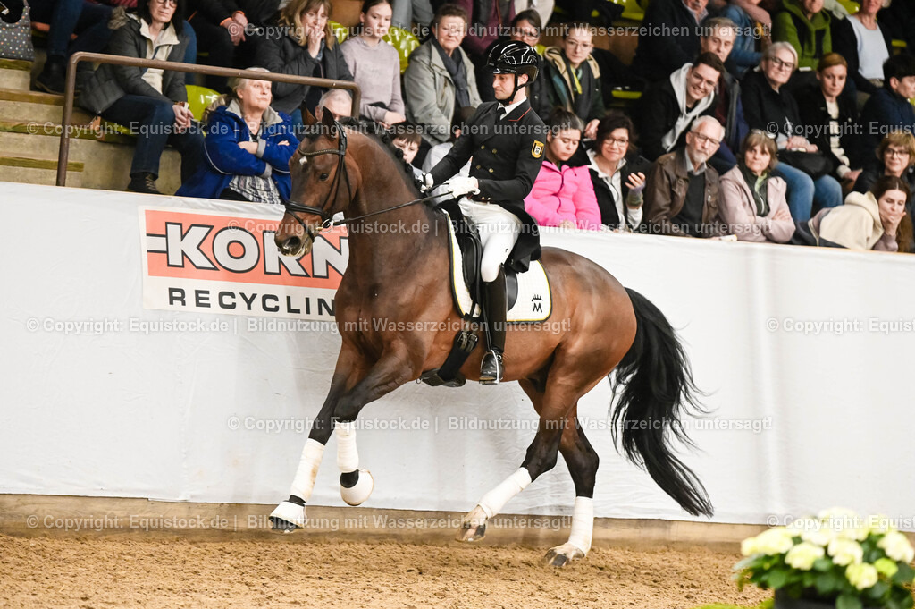 20260307_Hengstvorstellung-Marbach_0371 | equistock