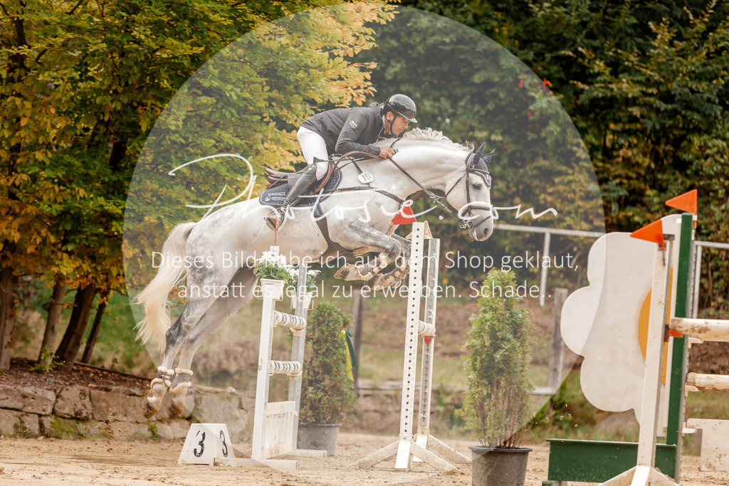 3I6A8222 | Stimmungsvolle Portraits und Reitsportfotografie im Ruhrgebiet und im Münsterland.

Pferdefotografie, Hundefotografie, Tierfotografie, Reportagen, Portraits von Tier und Mensch, Turnierfotografie in Bochum, Recklinghausen, Marl, Haltern am See, Dülmen.. - Realisiert mit Pictrs.com