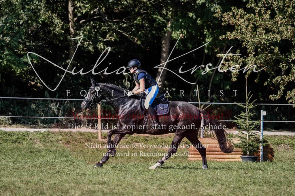 DSC_3572 | Pferde- und Turnierfotografie in Westsachsen. Pferdeportraits, Auftragszeichnungen und intuitive Kunst.