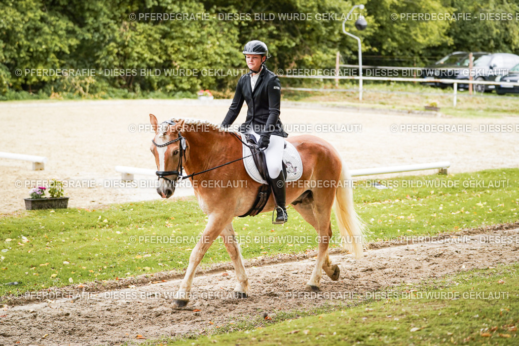 DSC00229 | Pferdegrafie