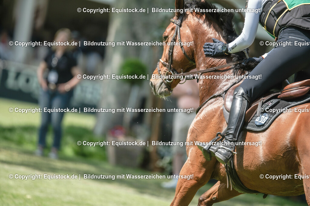 20230527_27_CCI4_Gelände_0100 | equistock
