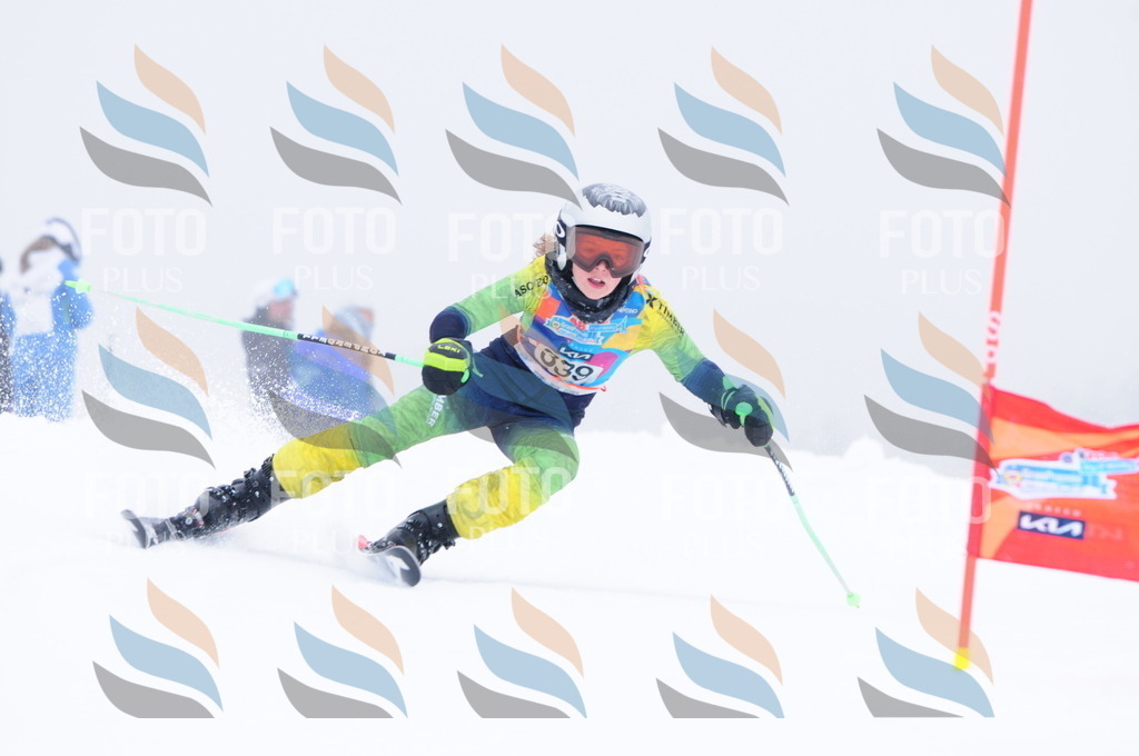 C3633 | holidayphoto