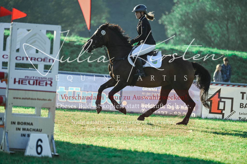 DSC_4265 | Pferde- und Turnierfotografie in Westsachsen. Pferdeportraits, Auftragszeichnungen und intuitive Kunst.
