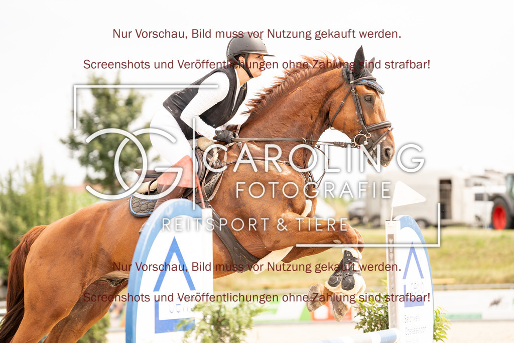 DSC05188 | Turnierfotografin Carolin Gieschke, Turnierfotografie Carolin G Fotografie, Turnierfotos Kirchheim/Teck, Esslingen, Stuttgart, Bodenseekreis
