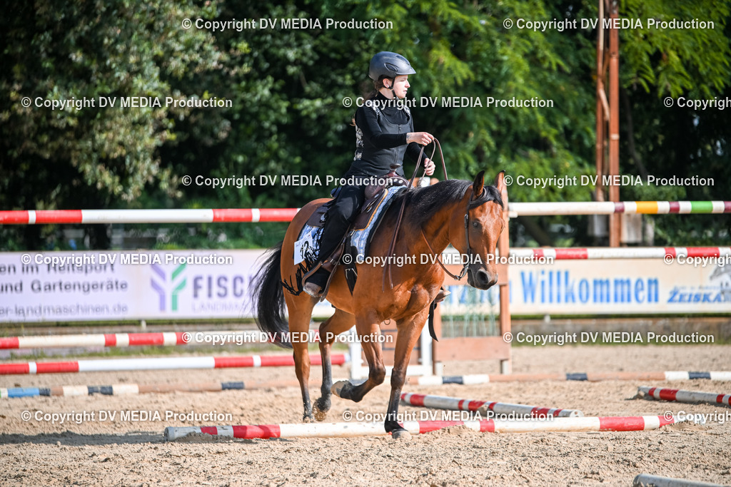 ZS2_3472 | dv-media-shop - Realisiert mit Pictrs.com