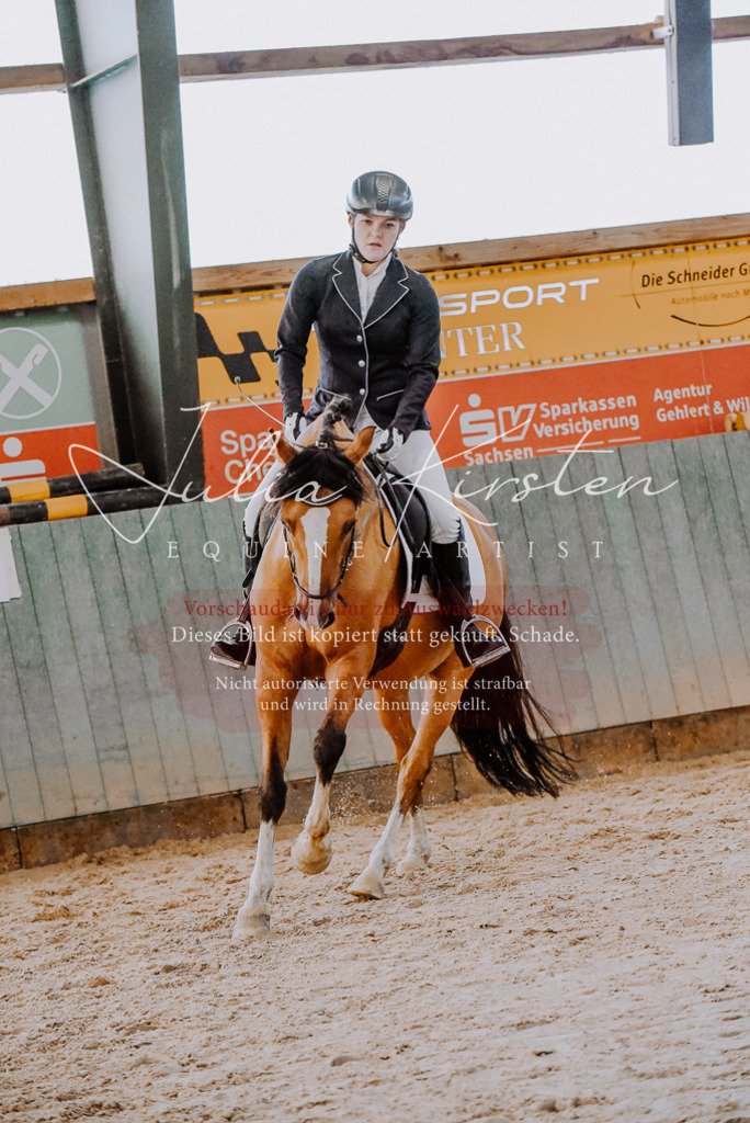 DSC_7622 | Pferde- und Turnierfotografie in Westsachsen. Pferdeportraits, Auftragszeichnungen und intuitive Kunst.