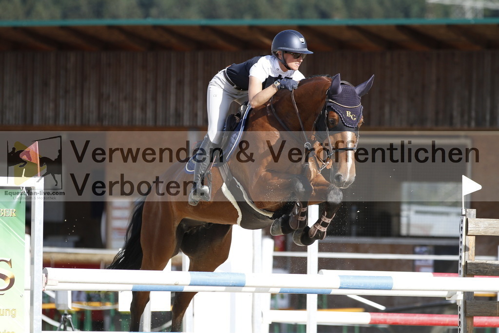 _MG_5481 | equestrian-live-com