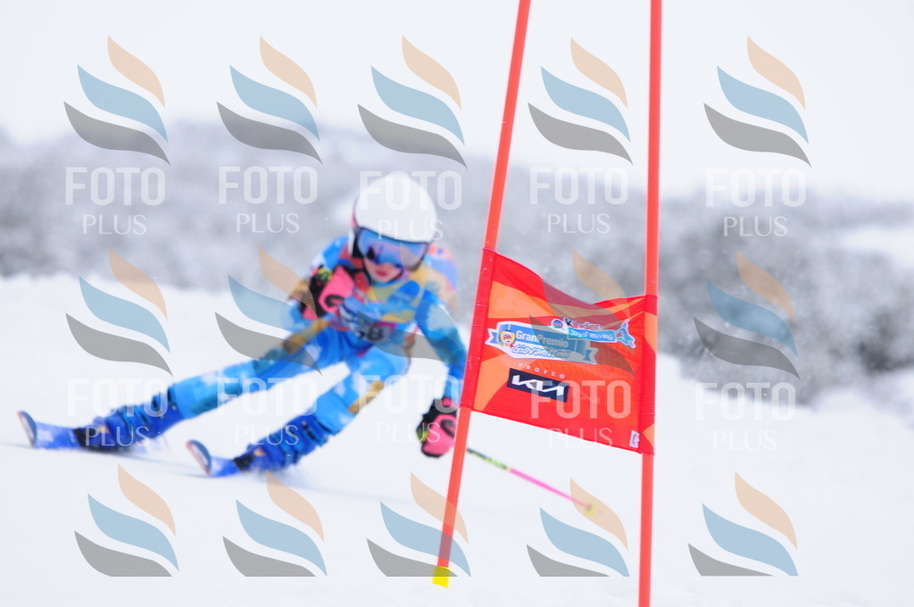 C2705 | holidayphoto