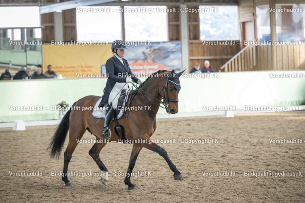 _D5A6578 | Emotionale Pferde- & People-Fotografie rund um Heidelberg, Leimen & Umgebung. Natürliche Fotos von Pferd, Mensch & Familie. Jetzt Termin sichern!