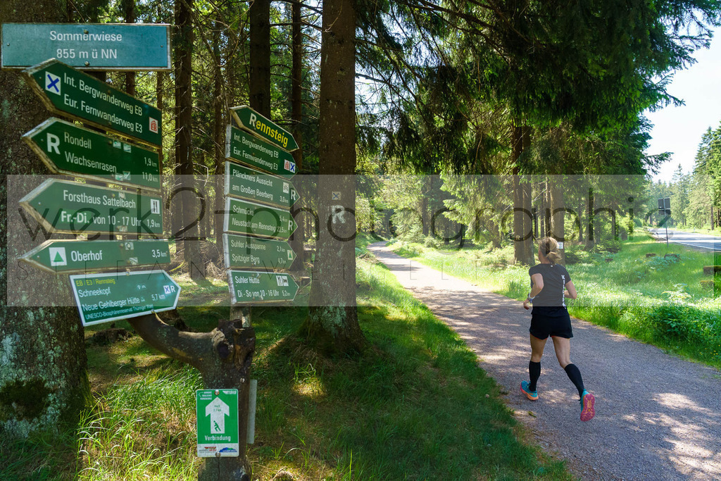 Rennsteig-Staffellauf 2023 | Rennsteig-Staffellauf - Hörschel bis Blankenstein - 17. Juni 2023