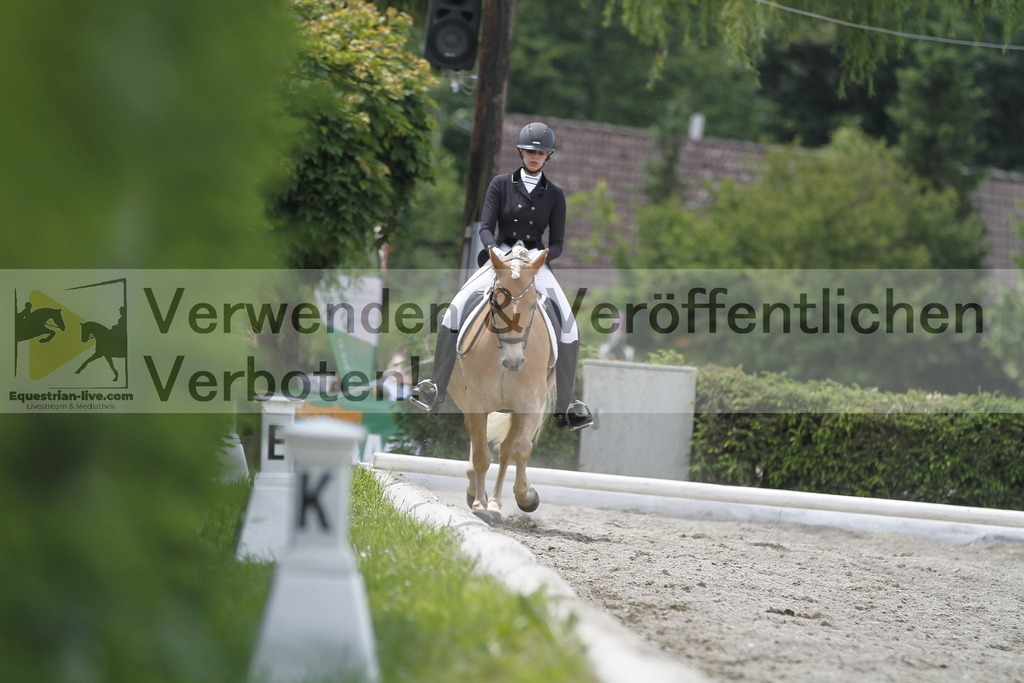 _MG_9502 | equestrian-live-com