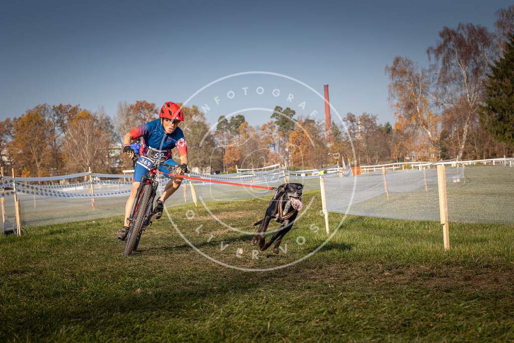 CaniXpix_0L8A7012 | Hundefotografie, Tierfotograf, Pfotenfotografie, Fotoshooting Hund, Hunde Portrait, Hundesport, Hundeportraits, Heideshooting, Hunde, Sportfotograf, Hundefotograf, Turnierhundsport, THS,  - Realisiert mit Pictrs.com