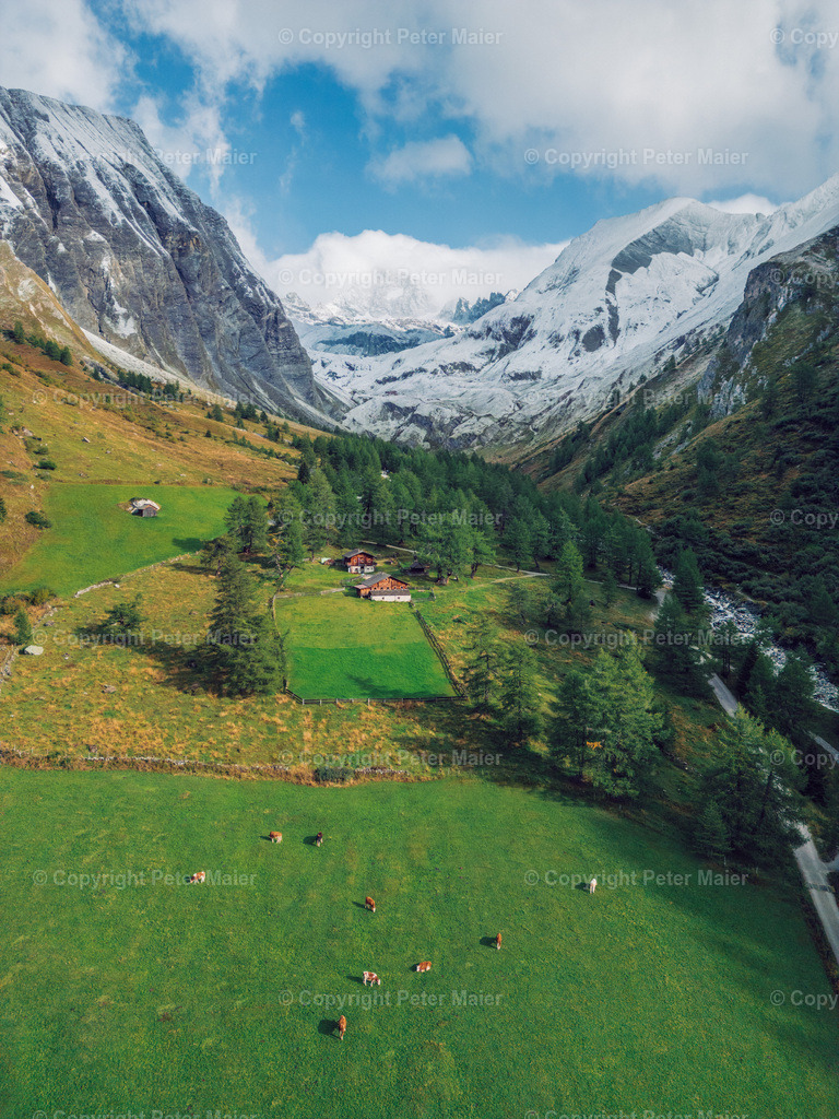 Kals_Herbst-14 | piet_flosse