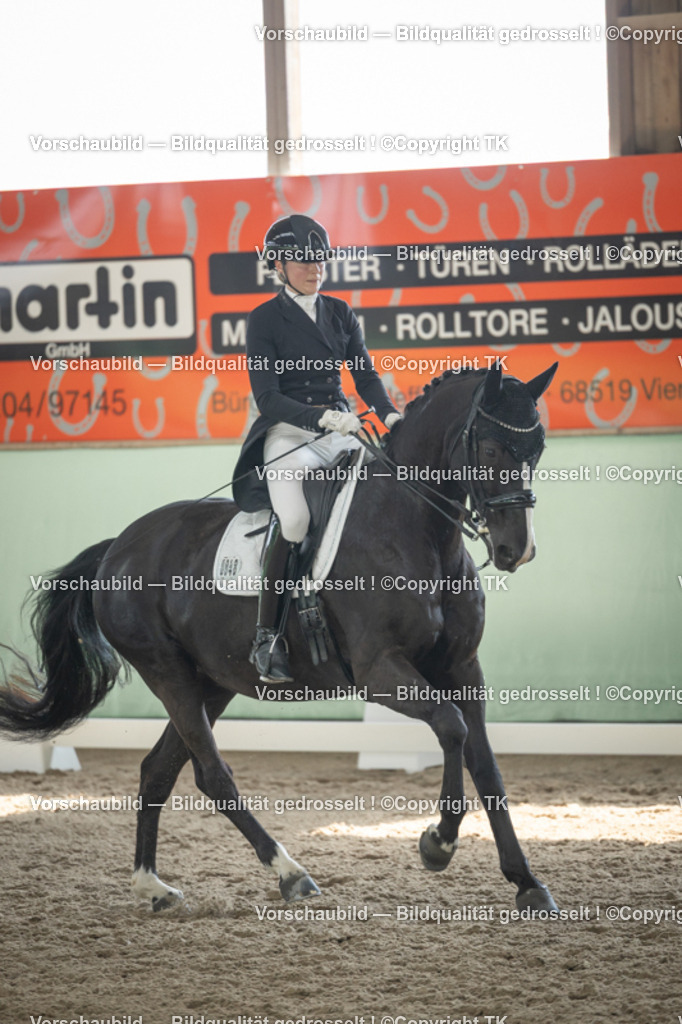 _D5A2110 | Emotionale Pferde- & People-Fotografie rund um Heidelberg, Leimen & Umgebung. Natürliche Fotos von Pferd, Mensch & Familie. Jetzt Termin sichern!