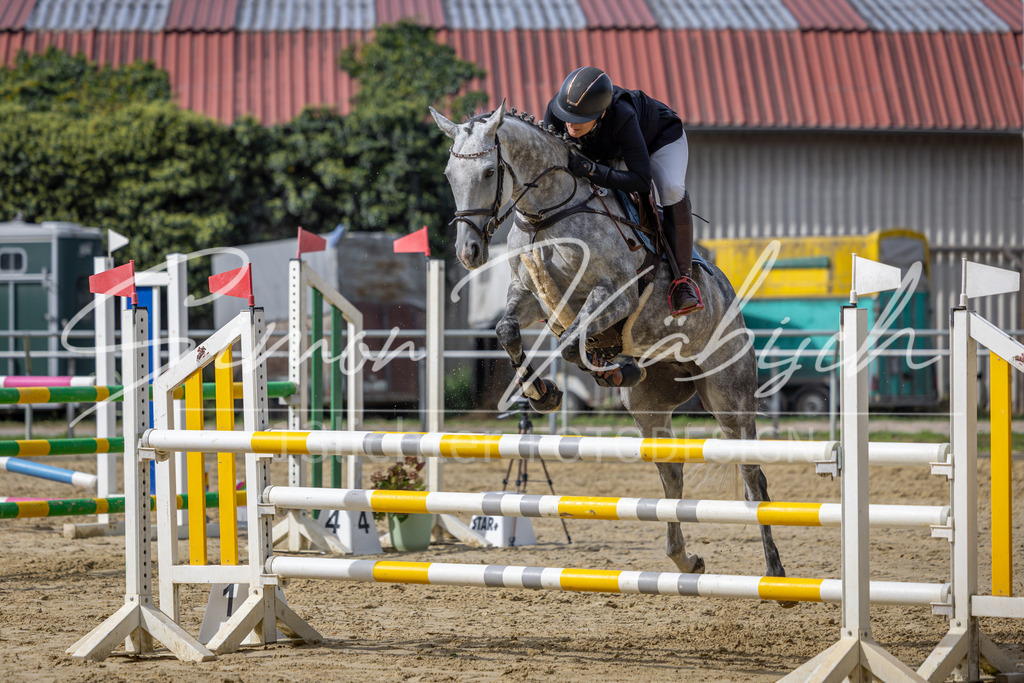 20260905-_3LI7565 | Tierfotografie Pferde, Hunde, Katzen, Haustiere.
Turnierfotografie Reitturniere, Reiten, Springreiten, Dressur in Hanau, dem Main-Kinzig-Kreis und dem Rhein-Main- Gebiet um Frankfurt