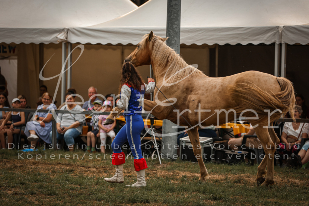 SaShow00045 | Leoni Ertmer Photography - Realisiert mit Pictrs.com