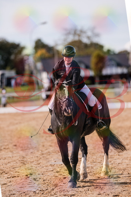 2026_10_03_Siefer-Hof_131954_Z81_70709211 | Professionelle Reitsport-, Turnier- und Eventfotografie von Robert Broda. Galerien mit ausgewählten und bearbeiteten Bildern direkt online ansehen und bestellen.
