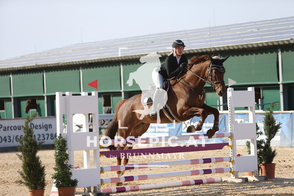 DL2Q4217 | Willkommen bei Brunnmayr - Design & Fotografie – Ihrem Spezialisten für Reitturniere und Pferdeveranstaltungen in Oberösterreich, Salzburg und Bayern! Seit über 17 Jahren sind wir leidenschaftlich dabei.