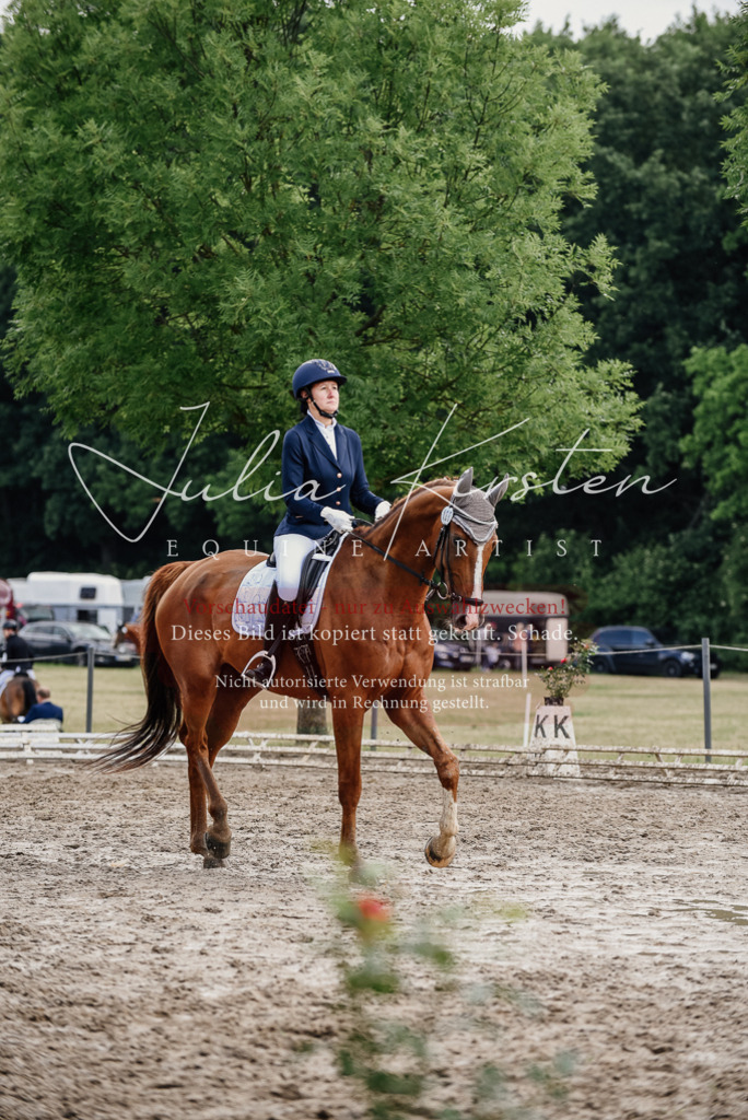 DSC_9903 | Pferde- und Turnierfotografie in Westsachsen. Pferdeportraits, Auftragszeichnungen und intuitive Kunst.