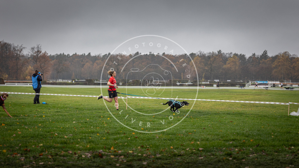 CaniXpix_DV3A8897 | Hundefotografie, Tierfotograf, Pfotenfotografie, Fotoshooting Hund, Hunde Portrait, Hundesport, Hundeportraits, Heideshooting, Hunde, Sportfotograf, Hundefotograf, Turnierhundsport, THS,  - Realisiert mit Pictrs.com