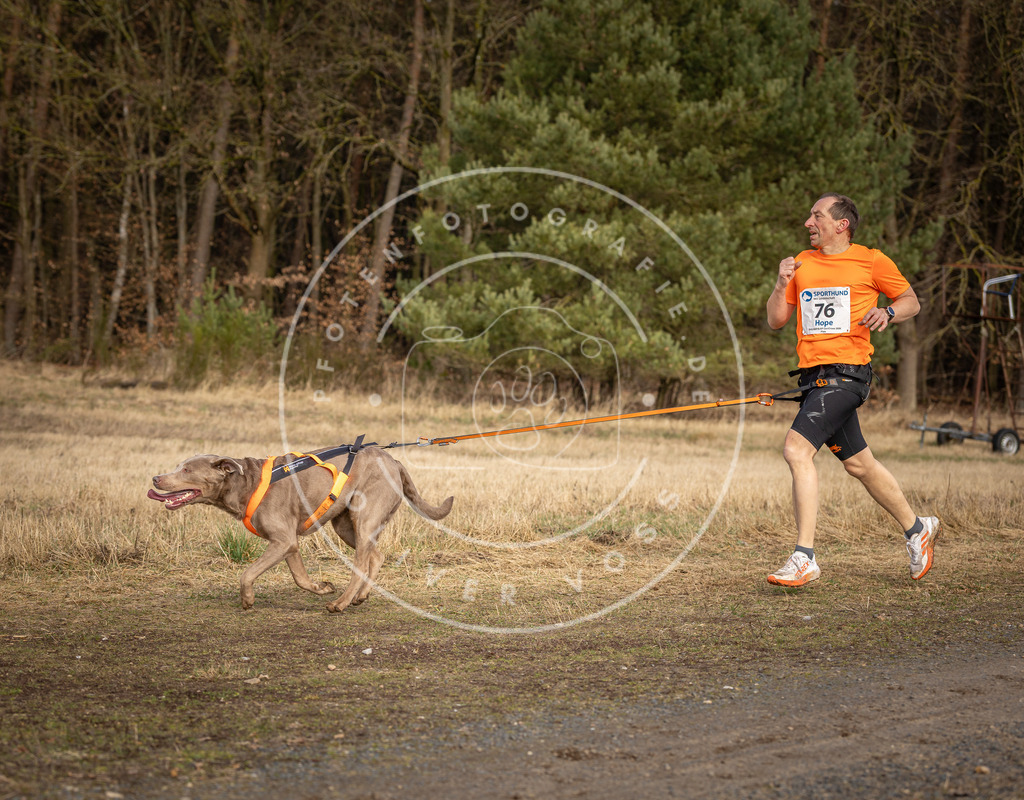 DV3A3795 | Hundefotografie, Tierfotograf, Pfotenfotografie, Fotoshooting Hund, Hunde Portrait, Hundesport, Hundeportraits, Heideshooting, Hunde, Sportfotograf, Hundefotograf, Turnierhundsport, THS,  - Realisiert mit Pictrs.com