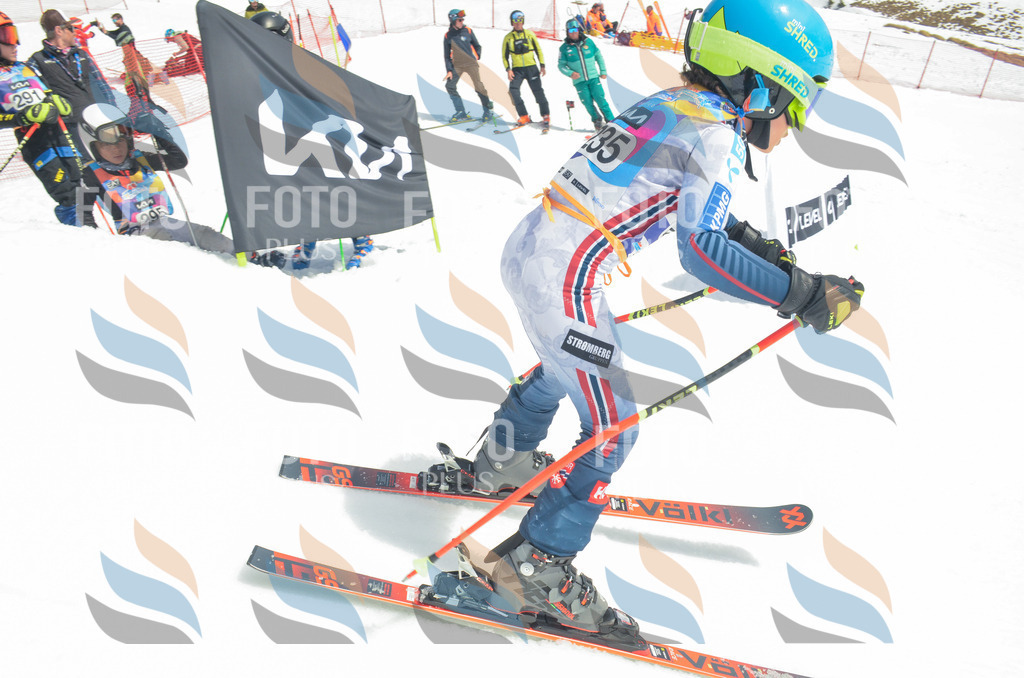 _ELE7364 | holidayphoto