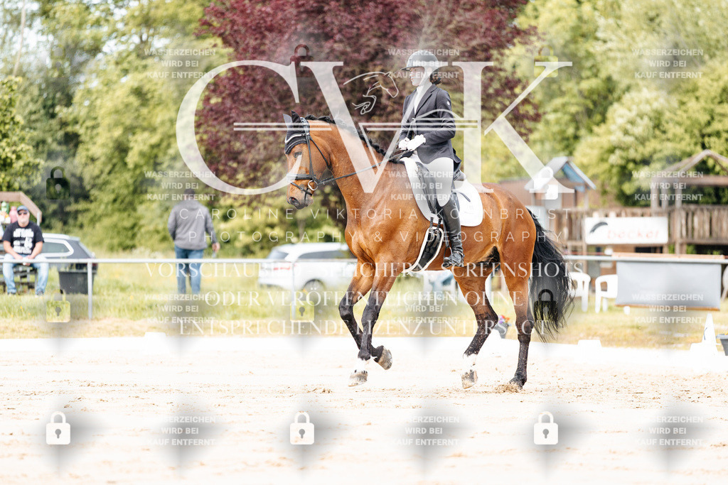 CK900777 | Turnierfotografie Pferdefotografie Trier Rheinland-Pfalz Pferdesport Reitsport Tierfotografie Sportfotografie Pferdevideo Pferdevideografie Equestrianvideography equestrianphotography  - Realisiert mit Pictrs.com