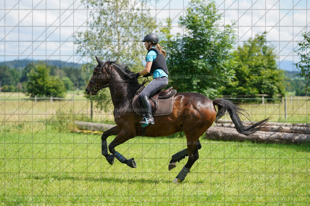 20240622-FAH07620 | Turnierfotografen Bayern, Reitsportbilder aus dem Geländekurs mit Felix Etzel auf dem Gut Waitzacker 2024