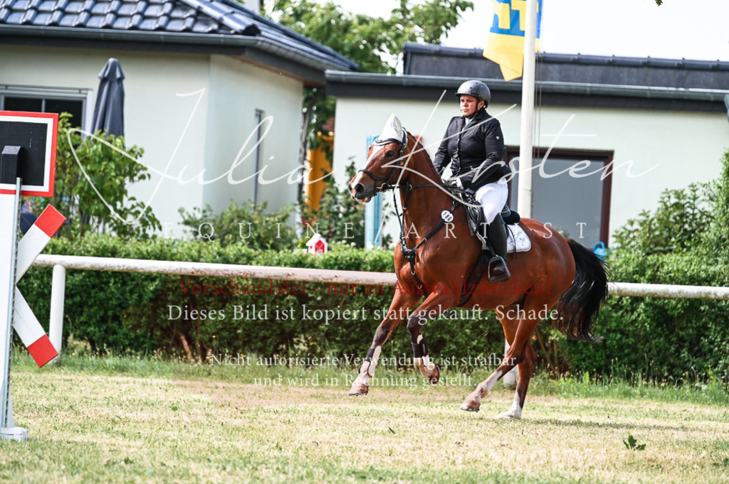 DSC_8692 | Pferde- und Turnierfotografie in Westsachsen. Pferdeportraits, Auftragszeichnungen und intuitive Kunst.