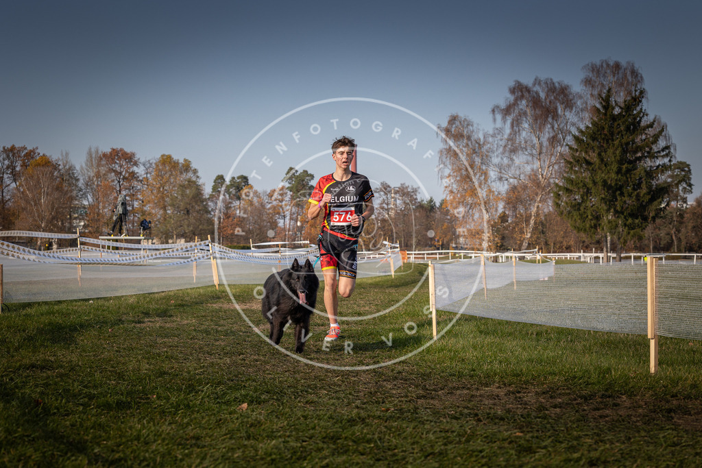 CaniXpix_0L8A9654 | Hundefotografie, Tierfotograf, Pfotenfotografie, Fotoshooting Hund, Hunde Portrait, Hundesport, Hundeportraits, Heideshooting, Hunde, Sportfotograf, Hundefotograf, Turnierhundsport, THS,  - Realisiert mit Pictrs.com