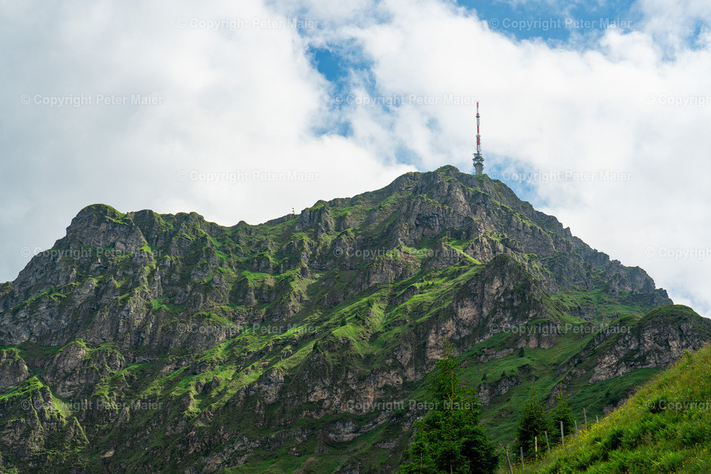 Summer_Experience_St_Johann_2023_Wanderung_zur_Angerer_Alm-56 | piet_flosse