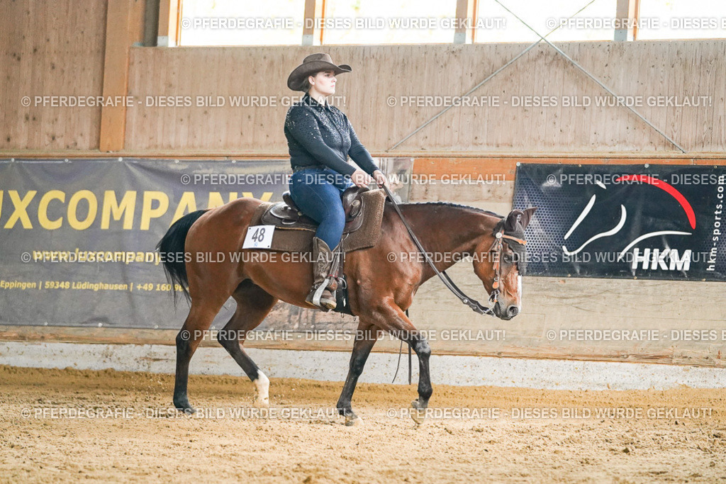 DSC05394 | Pferdegrafie