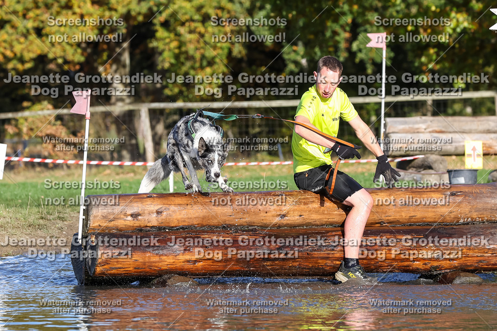 Dog Paparazzi - Strongdog 10-25-8668 | Dog Paparazzi Jeanette Grottendiek Fotografie & Videografie - Realisiert mit Pictrs.com