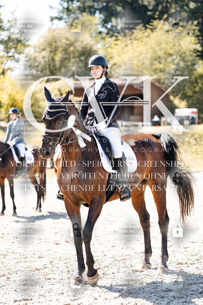 CK909940 | Turnierfotografie Pferdefotografie Trier Rheinland-Pfalz Pferdesport Reitsport Tierfotografie Sportfotografie Pferdevideo Pferdevideografie Equestrianvideography equestrianphotography  - Realisiert mit Pictrs.com