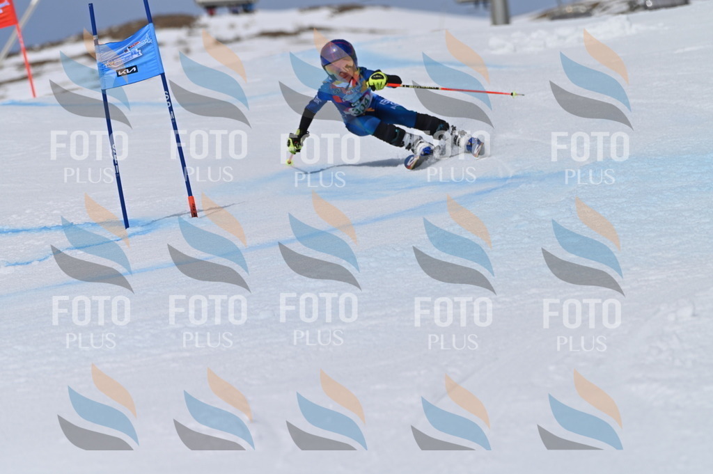 BGV_6023 | holidayphoto