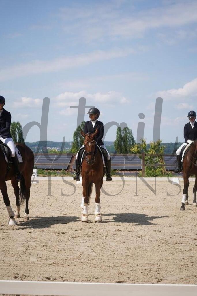 tbhsamstag (957) | d.tail Visions - Shop - Realisiert mit Pictrs.com