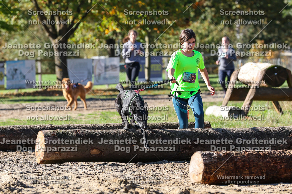 Dog Paparazzi - Strongdog 10-25-2385 | Dog Paparazzi Jeanette Grottendiek Fotografie & Videografie - Realisiert mit Pictrs.com