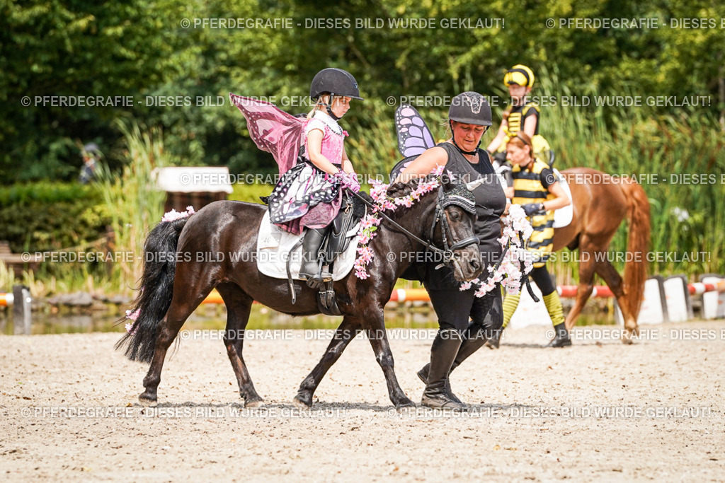 DSC03149 | Pferdegrafie