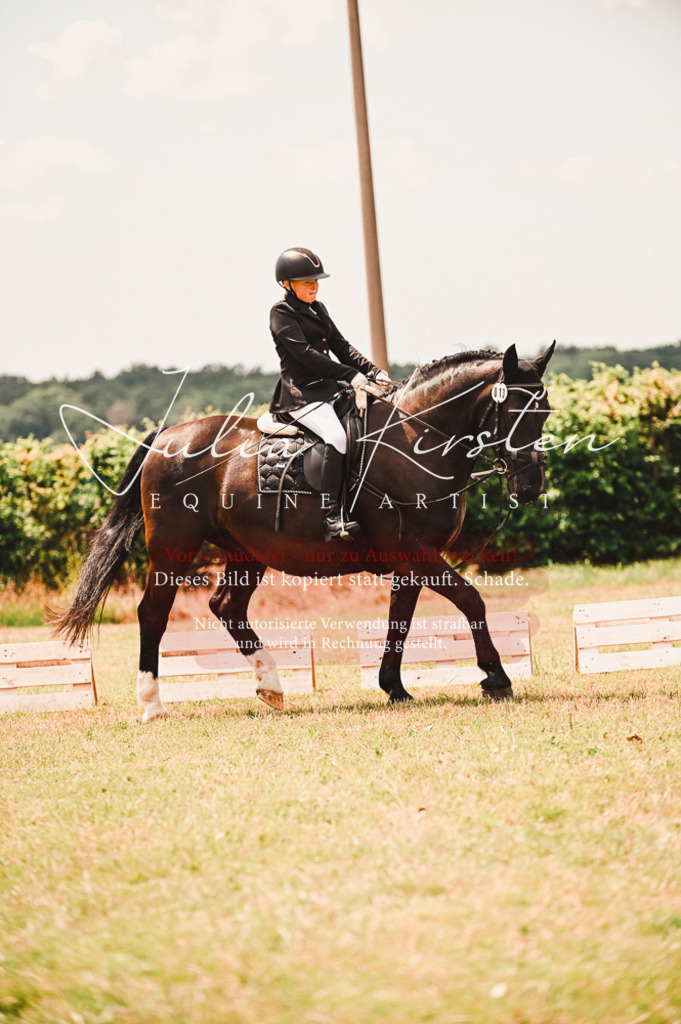 DSC_6378 | Pferde- und Turnierfotografie in Westsachsen. Pferdeportraits, Auftragszeichnungen und intuitive Kunst.