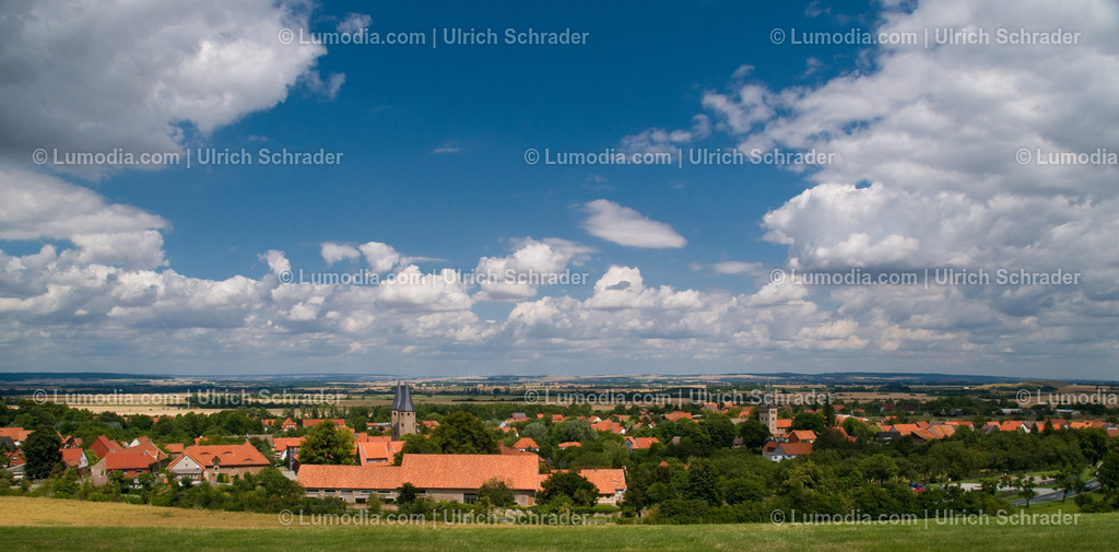 00491-2184 - Drübeck im Harzvorland | Stockfoto und Bilderpool mit Bildmaterial aus Deutschland, dem Harz, Halberstadt, Quedlinburg, Wernigerode und weltweit. Qualitativ hochwertige und professionelle Fotos anschauen und kaufen. - Realisiert mit Pictrs.com