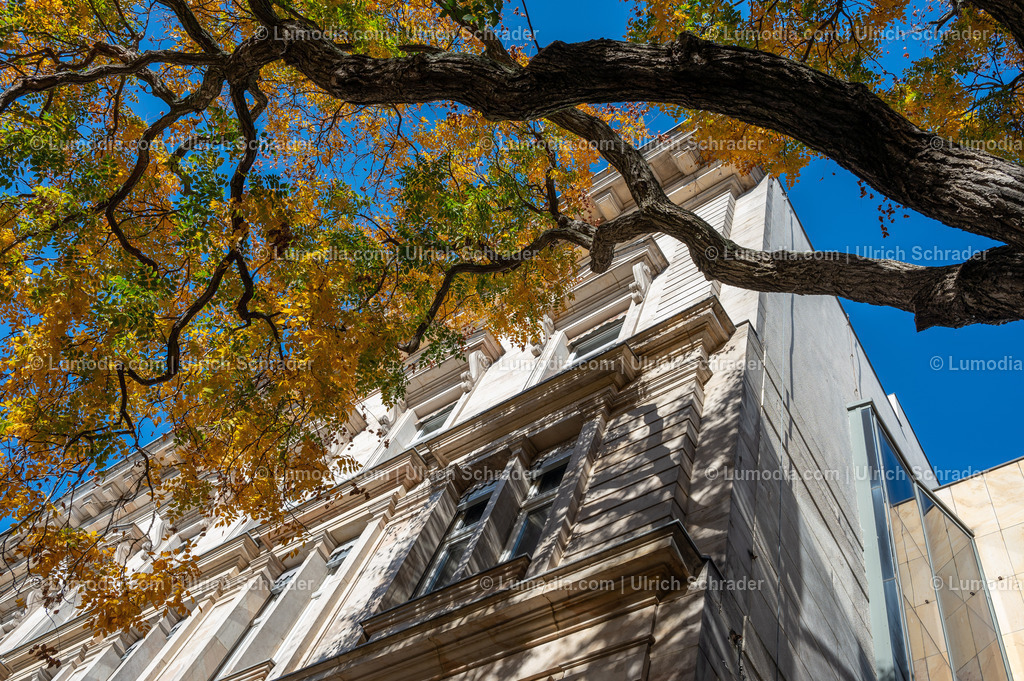 10049-13348 - Westendorf in Halberstadt | Stockfoto und Bilderpool mit Bildmaterial aus Deutschland, dem Harz, Halberstadt, Quedlinburg, Wernigerode und weltweit. Qualitativ hochwertige und professionelle Fotos anschauen und kaufen. - Realisiert mit Pictrs.com