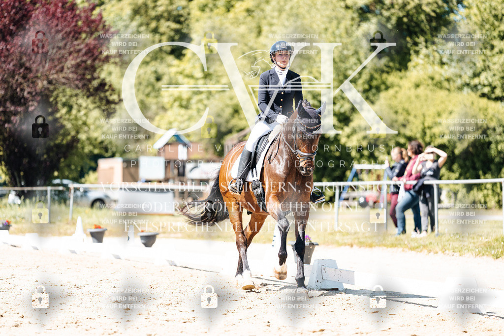 CK905692 | Turnierfotografie Pferdefotografie Trier Rheinland-Pfalz Pferdesport Reitsport Tierfotografie Sportfotografie Pferdevideo Pferdevideografie Equestrianvideography equestrianphotography  - Realisiert mit Pictrs.com